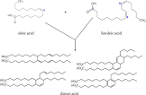 Dimer Acid