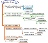 Diuretics Drugs