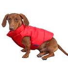 Dog Coats