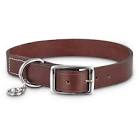 Dog Collars