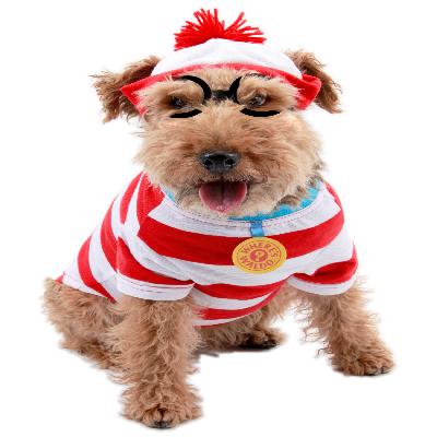 Dog Costume 