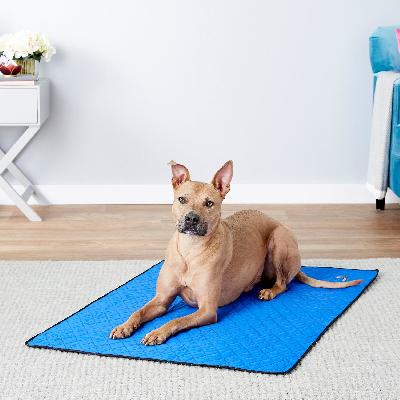 Dog Pad 