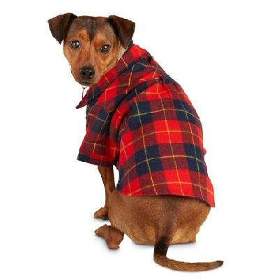 Dog Shirt