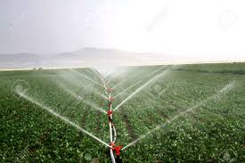 Drip Irrigation Systems