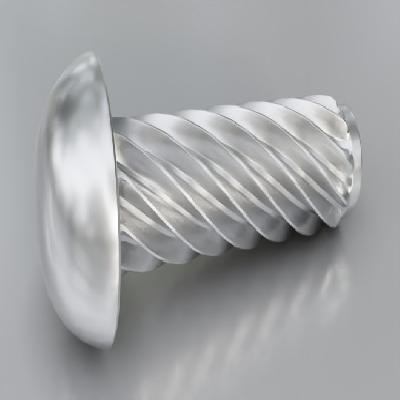 Drive Screw