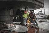 Dry Dock Repairs