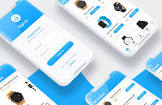 E-commerce Application Development