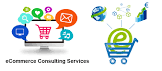 E Commerce Consulting Service
