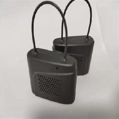 EAS Security Tag