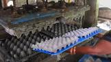 Egg Tray Machine