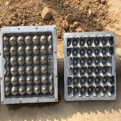 Egg Tray Mould 