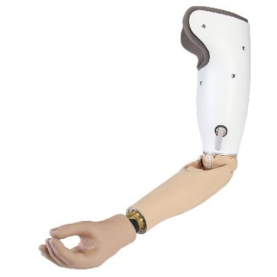 Elbow Prosthesis