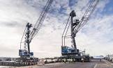 Electric Cranes