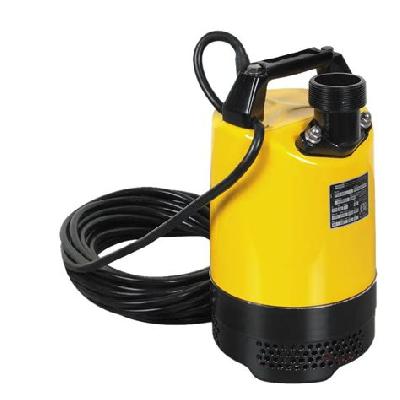 Electric Submersible Pump