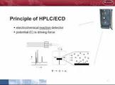 Electrochemical Detectors
