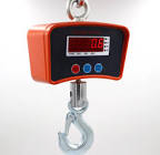 Electronic Crane Scale
