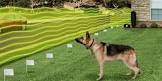 Electronic Fencing