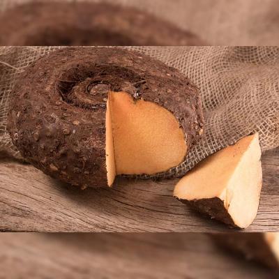 Elephant Yam
