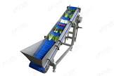 Elevating Conveyor