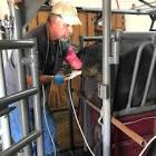 Embryo Transfer Service