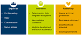 Emerging Market Strategy Services