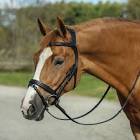 English Bridle