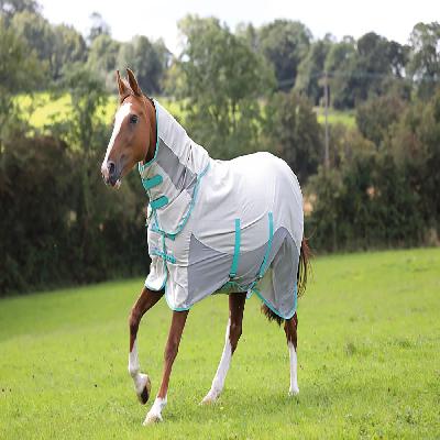 Equestrian Products