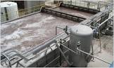 Etp Plant Services