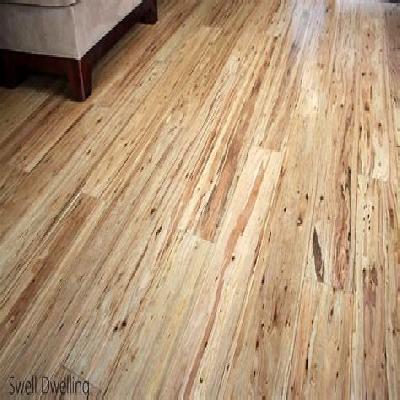 Eucalyptus Wood