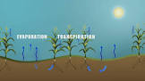 Evaporation Plants