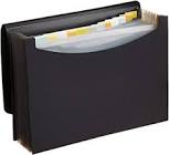 Expandable File Folder