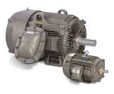 Explosion Proof Motors