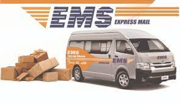 Express Mail Service