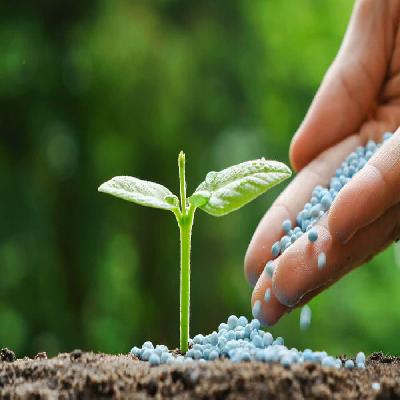 Fertilizer Plants