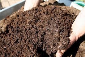 Fertilizers And Soil Additives