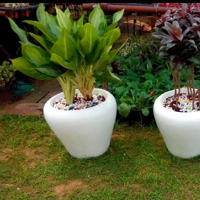 Fiber Flower Pot