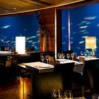 Fine Dining Restaurants