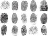 Finger Print Investigation