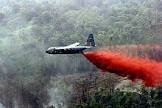 Fire Retardants