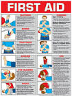 First Aid Chart
