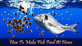 Fish Feed