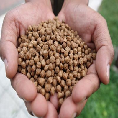Fish Pellet Food