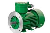 Flame Proof Motors