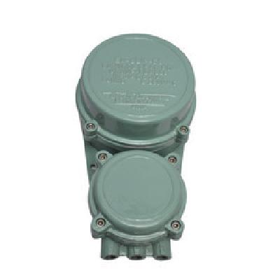 Flameproof Control Gear Box