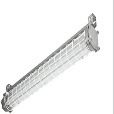 Flameproof Tube Lights