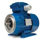 Flange Motors