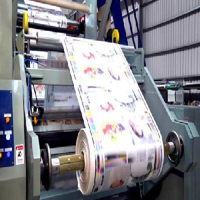 Flex Printing Machine Repairing 