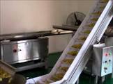 Flight Conveyors