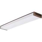 Fluorescent Ceiling Light