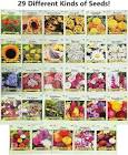 Flower Seeds